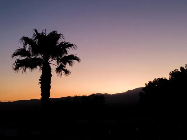 Twilight 8