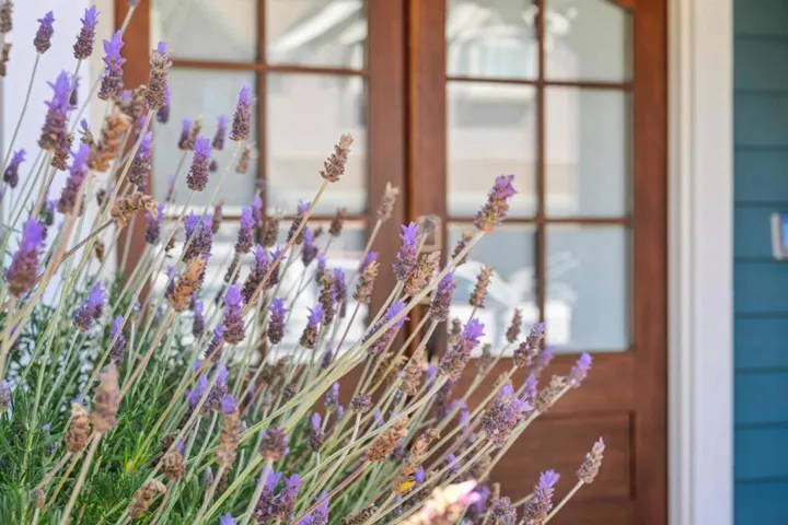 3230 Virgil Lane, Santa Cruz, California 95062
