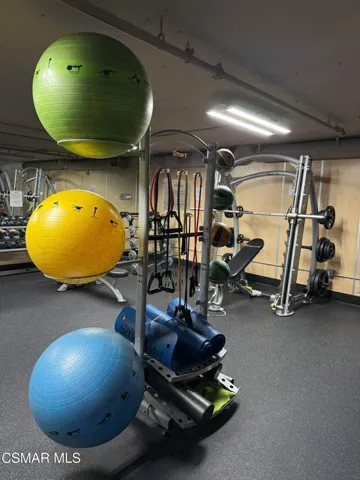 Gym