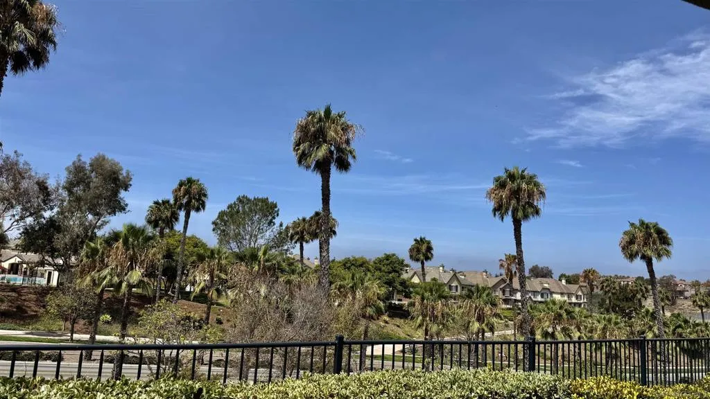 View from front