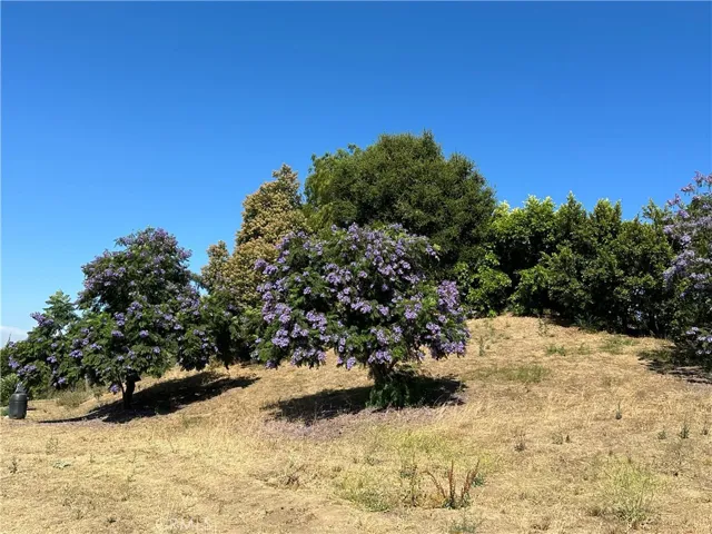 2831 Lynnview, Newbury Park, California 91320