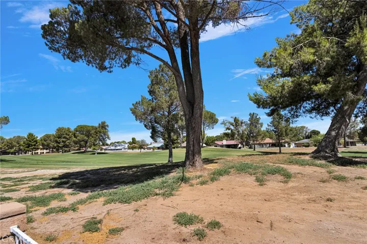 15186 Little Bow Lane, Helendale, California 92342