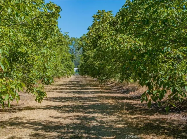 22145 Chase Ave & 3067 Burnham Avenue, Corning, California 96021