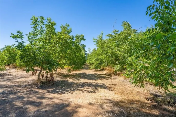 22145 Chase Ave & 3067 Burnham Avenue, Corning, California 96021