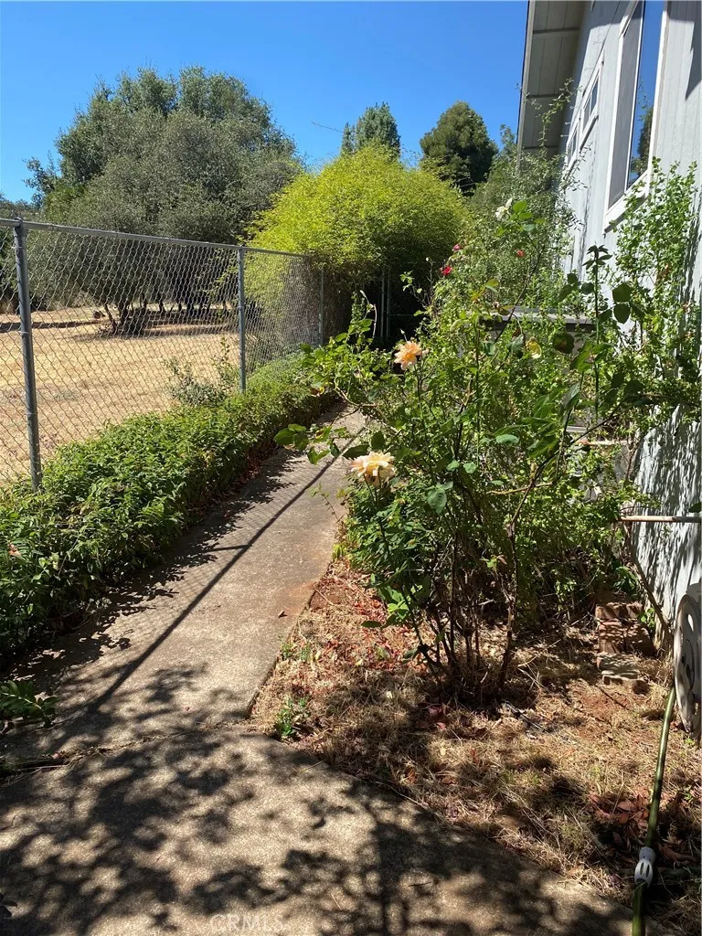 Pretty side yard Pretty side yard
