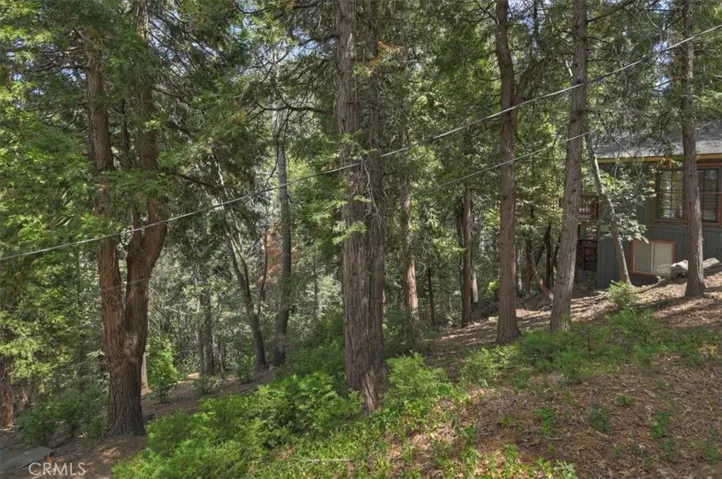 515 View, Lake Arrowhead, California 92352