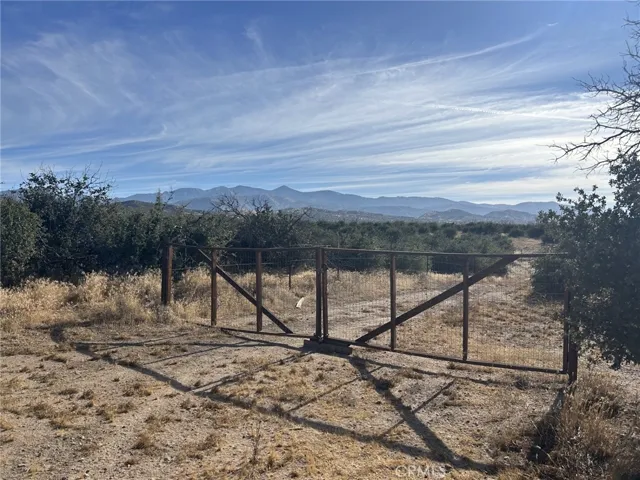 Gate to the south of property