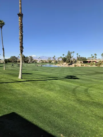Fairway Views All around