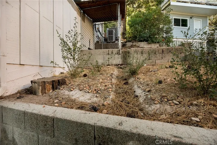 Dog Run with Access from Downstairs Bedroom