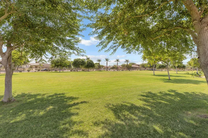 IMG_9087