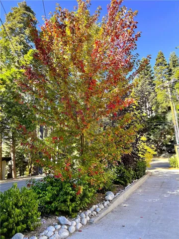 863 Oak, Lake Arrowhead, California 92385