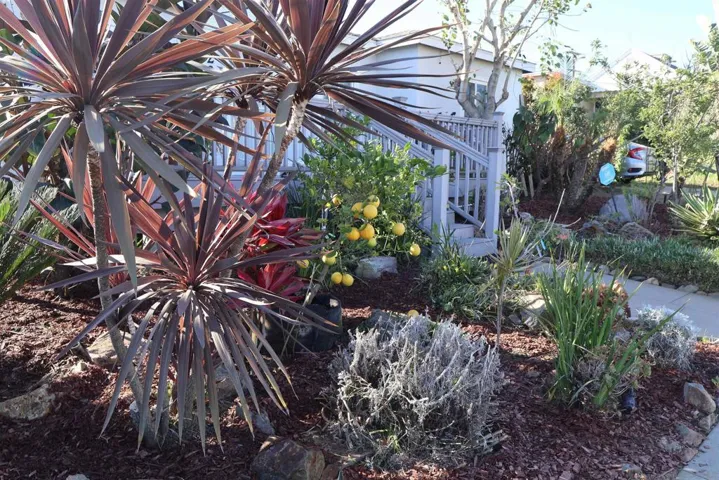2328 Lucerne Drive, San Diego, California 92106