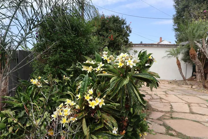 2328 Lucerne Drive, San Diego, California 92106