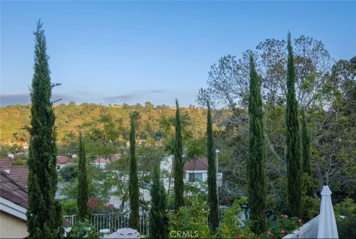 1 Encinitas Ct, Laguna Beach, California 92651