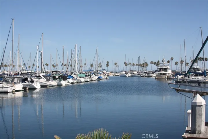 527 Cedar, Long Beach, California 90802