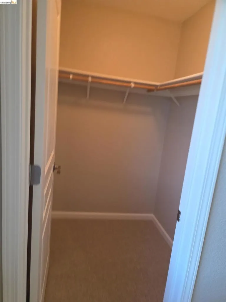 Walk-in closet with carpet flooring, light neutral wall paint, and built-in upper shelving