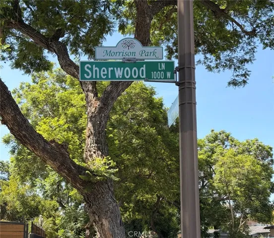 TREE LINED STREET