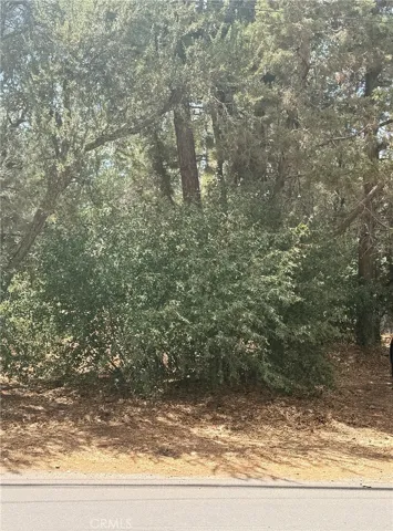 0 Imperial Avenue, Sugarloaf, California 92386
