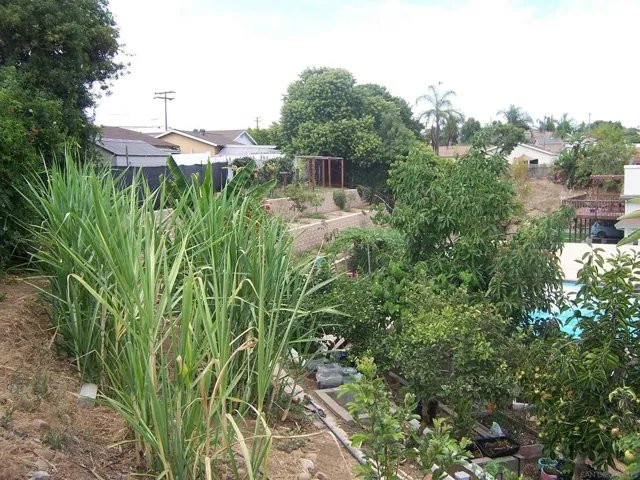 7428 Forton Way, San Diego, California 92111