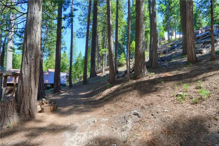7771 White Chief Mountain, Fish Camp, California 93623