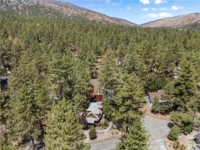 1869 Twin Lakes, Wrightwood, California 92397