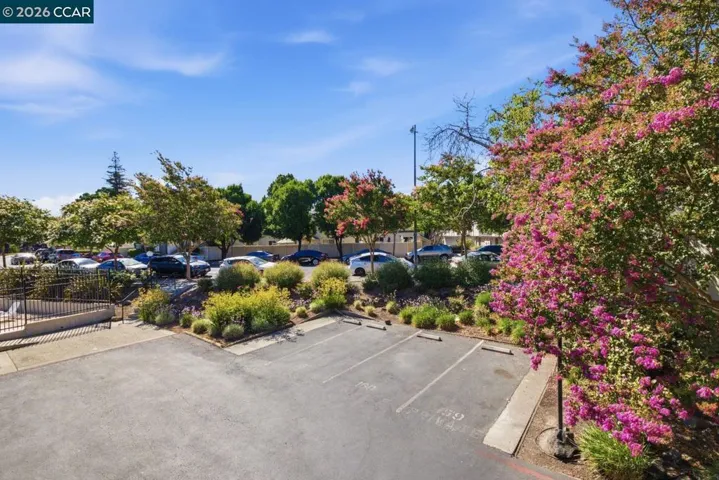 2037 Sierra Rd 5, Concord, California 94518