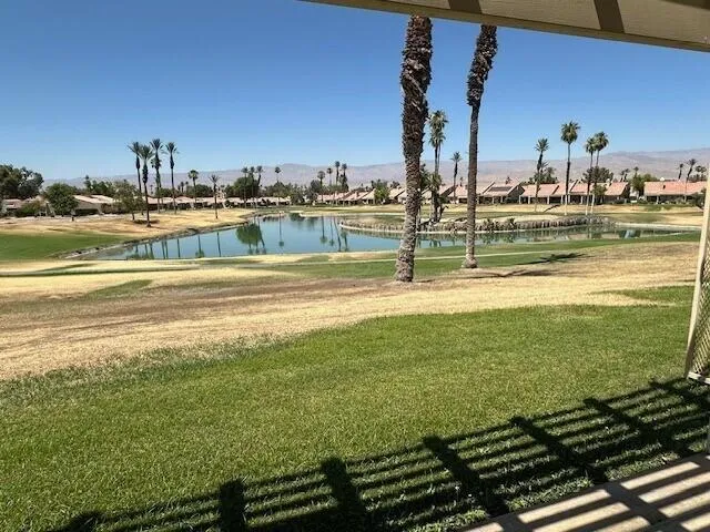 pic2