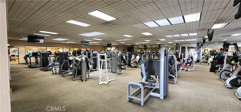 fitness