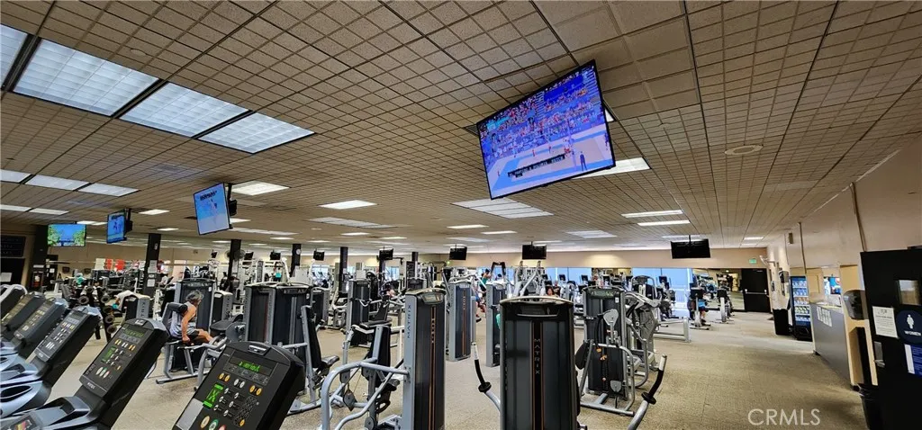 fitness