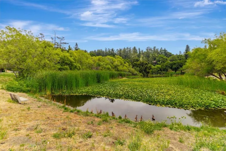 141 Recreation Drive, La Honda, California 94020