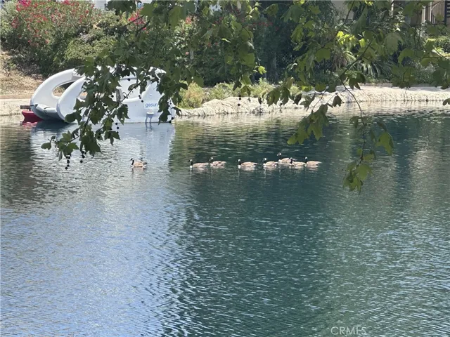 Calabasas Lake