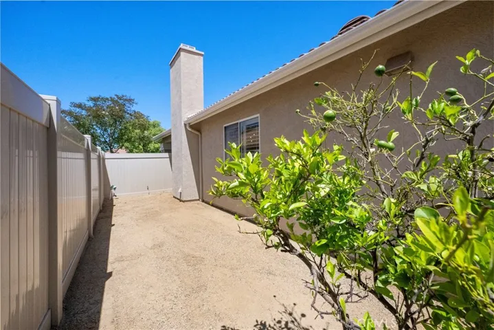 Side yard #1 and the newer vinyl fence.