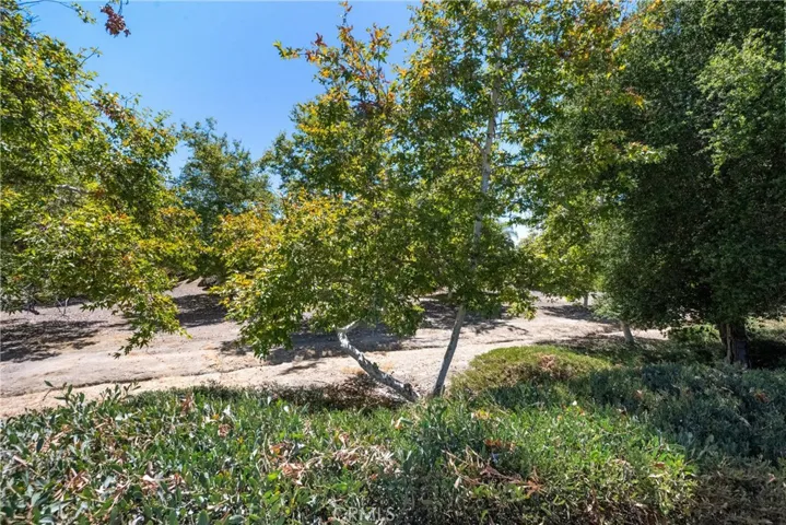 The nature preserve behind the home.