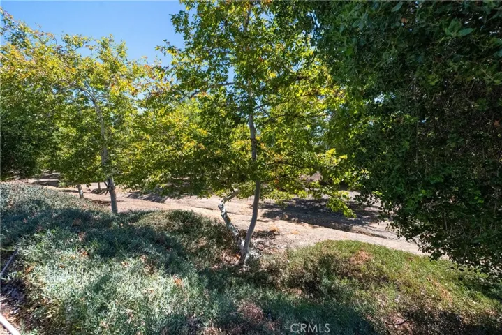The nature preserve behind the home.