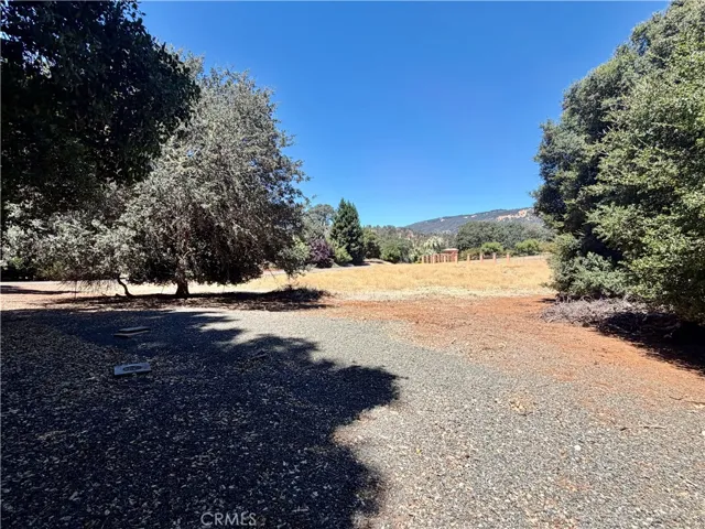 Looking to the back of the lot from 1/3 the way in from the street