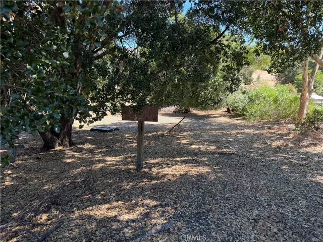 Looking into the lot from the street.