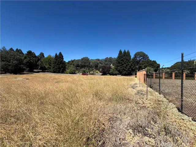 Lookin along the back of the lot