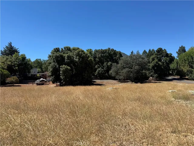 Looking from the Back of the Lot toward the front of the lot.