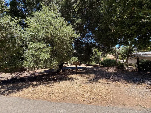 View into the lot from the road