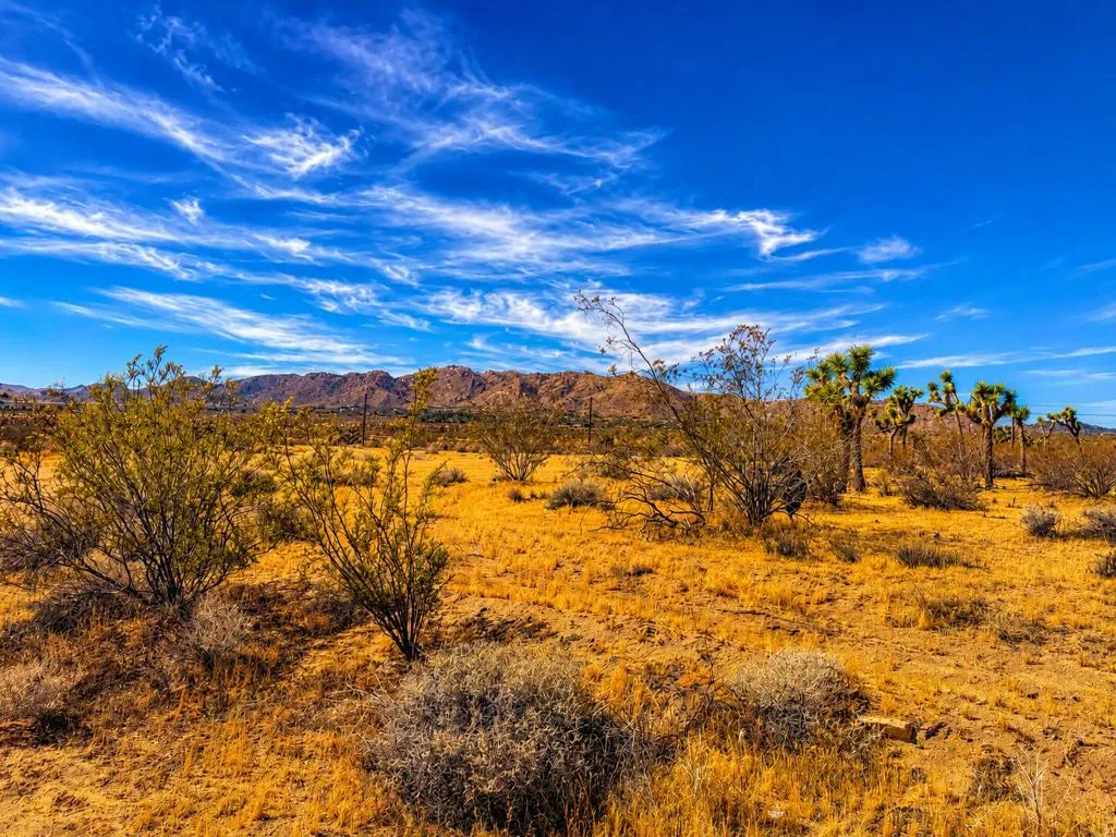 0 Rockwood Road, Joshua Tree, California 92252 — photo 4