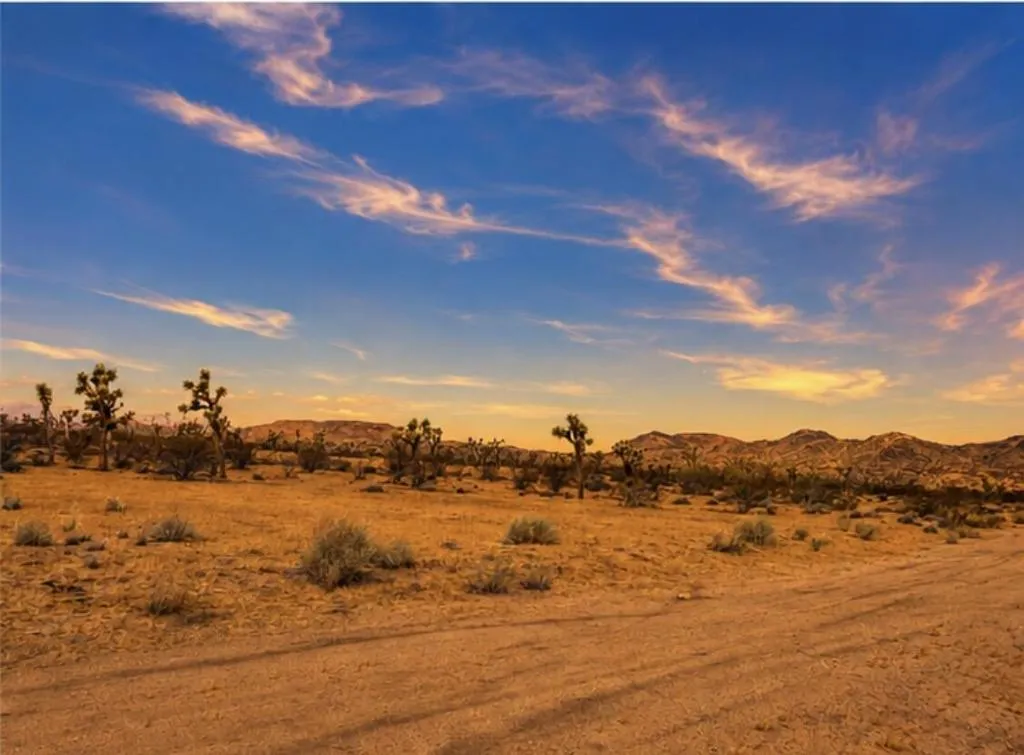 0 Rockwood Road, Joshua Tree, California 92252 — photo 5