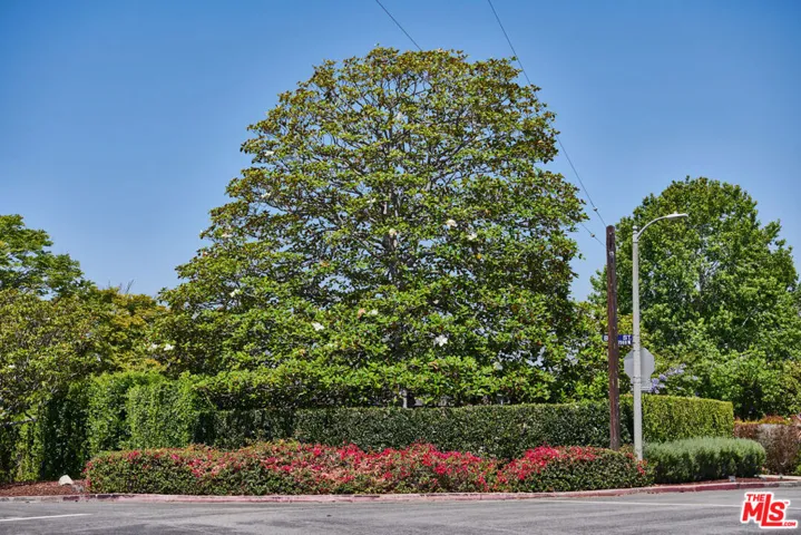 8045 Rayford Drive, Los Angeles, California 90045