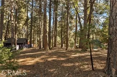 0 Valley View, Running Springs, California 92382 — photo 4