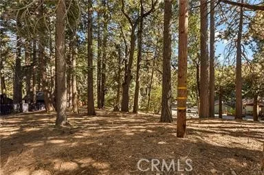 0 Valley View, Running Springs, California 92382 — photo 5