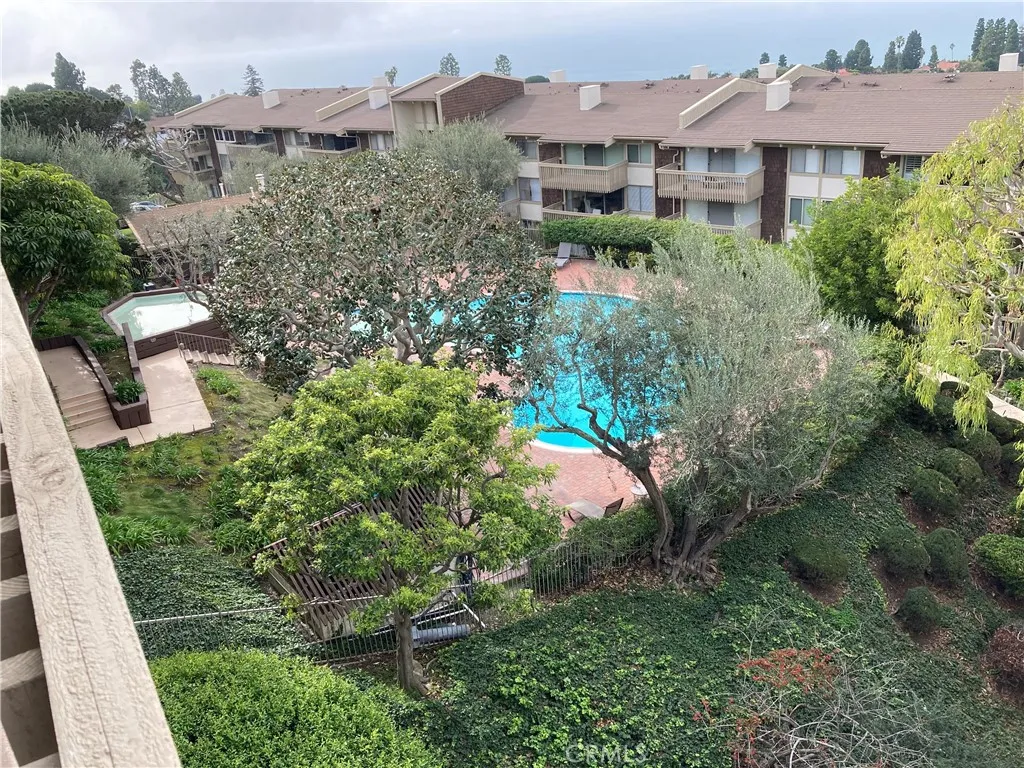 View of Pool
