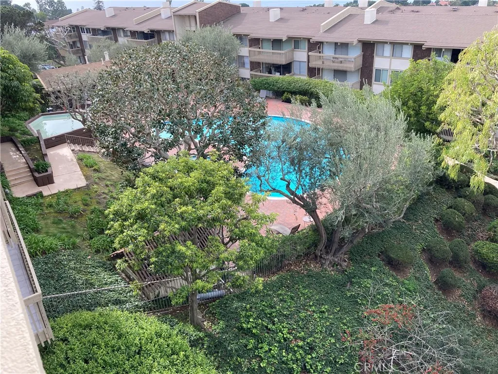 View of Pool
