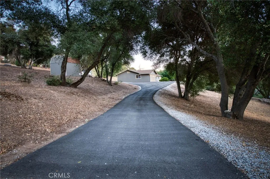 Long, scenic, tree-lined asphalt driveway providing ultimate estate privacy and security away from the main roads.