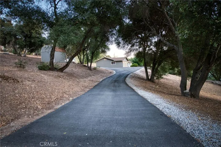 Long, scenic, tree-lined asphalt driveway providing ultimate estate privacy and security away from the main roads.