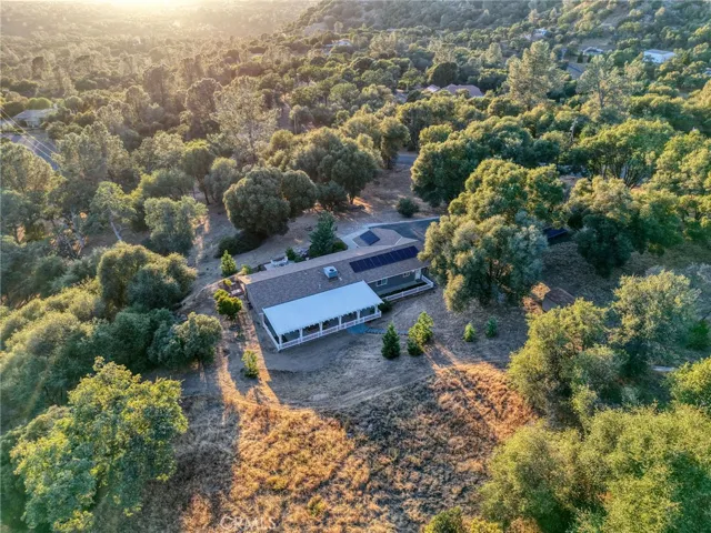 Breathtaking high-angle aerial view demonstrating total seclusion surrounded by mature oak trees and natural landscape.