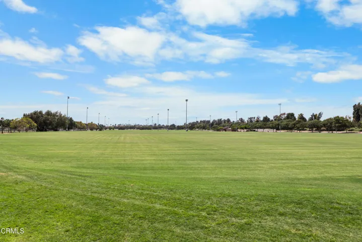 WIDE 55-ACRE FIELD